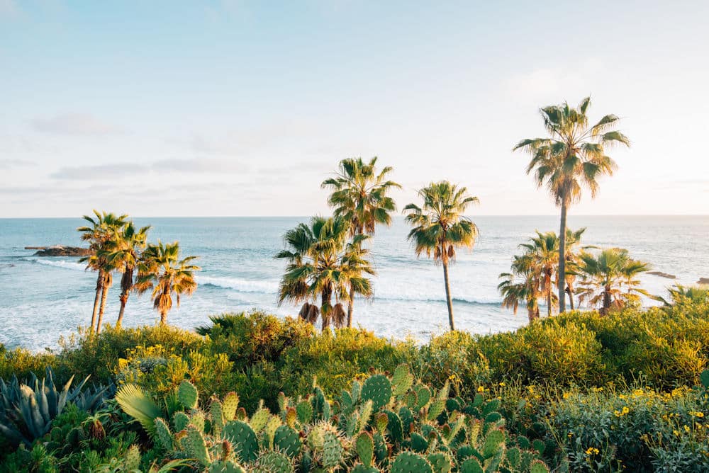 Dedicated Drug Rehab in Orange County